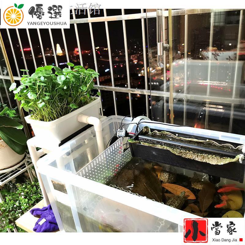 【現貨✧熱賣】熱銷☂沼澤過濾箱盒DIY自制周轉箱魚缸魚池龜缸專用魚菜共生沼澤過濾器【嚴格優選】