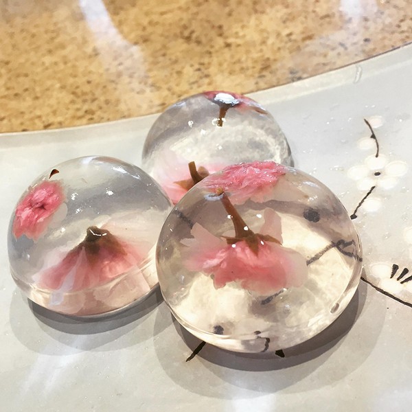 白涼粉水信玄餅粉50g 水信玄餅diy 櫻花水信玄餅diy水信玄餅水信玄餅手作4連6連矽膠膜 蝦皮購物