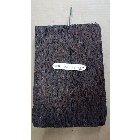 蛇木板 筆筒樹 樹皮 蘭花上板 板植 鹿角蕨 木板 介質 便宜出售