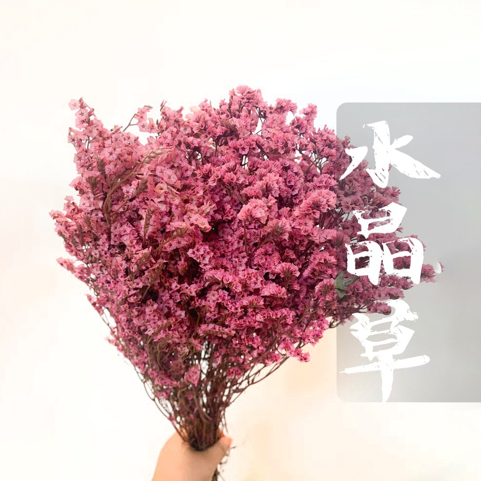 不凋水晶草水晶花雪花草永生花婚禮diy 花藝 蝦皮購物