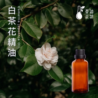 白茶花精油 白山茶花精油 純天然單方植物精油 Camellia Tsubaki