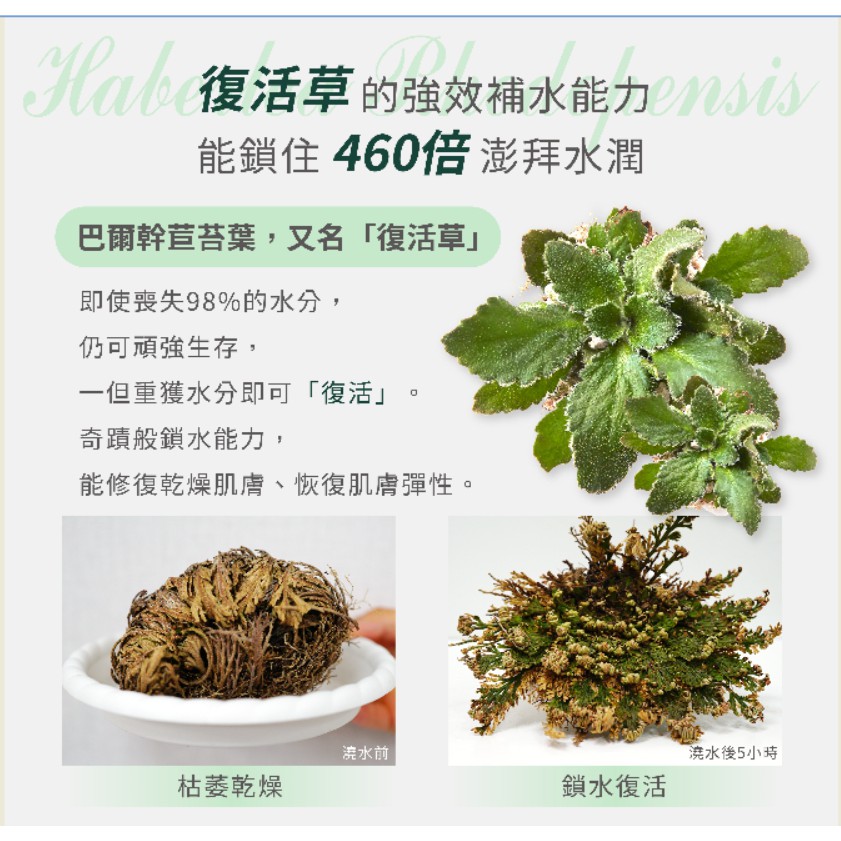 Laboratories 奇肌復活草保濕面膜 壓箱寶 保濕面膜日本正品460倍補水 蝦皮購物