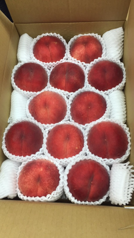 日本和歌山水蜜桃15粒10粒| 蝦皮購物