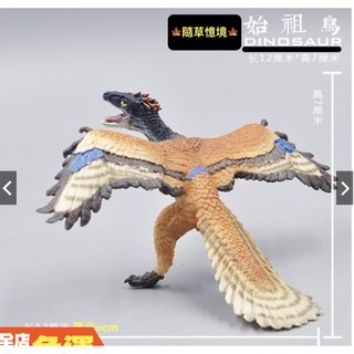 （稀有珍藏）SPG 正版 始祖鳥 史組鳥 鳥類 鳥 恐龍 模擬 動物模型 野生動物 兒童玩具 益智