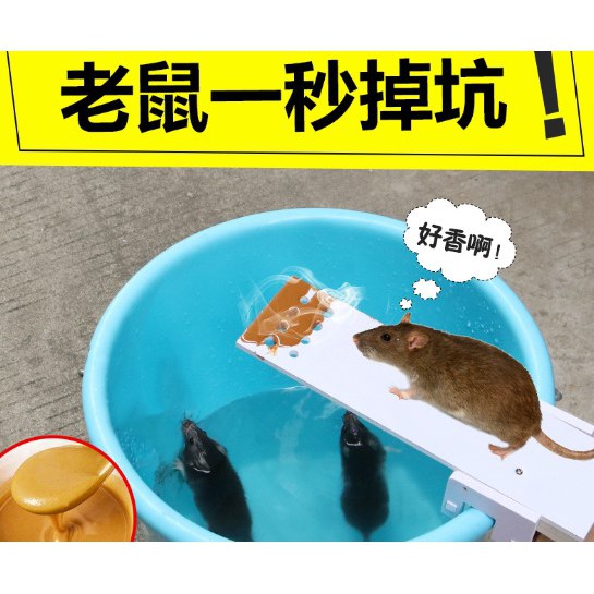 現貨 捕鼠蹺蹺板 捕鼠器 捕鼠工具 鼠來寶  100%實拍圖