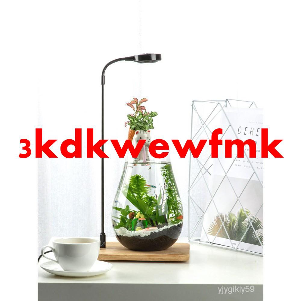 魚蝦水草 拍賣 評價與ptt熱推商品 21年6月 飛比價格