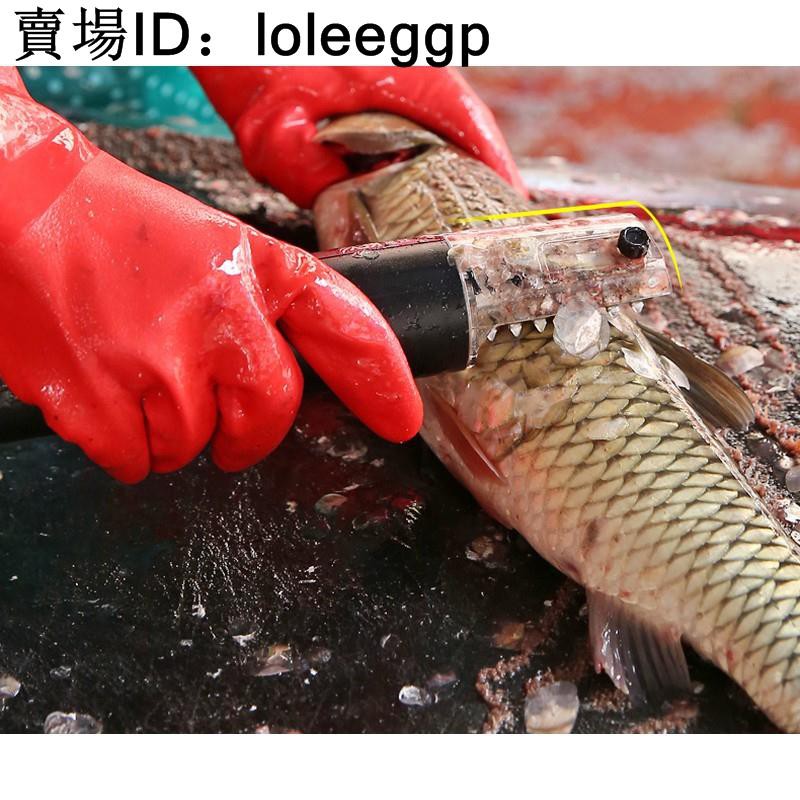 電動刮魚鱗機充電式 拍賣與ptt推薦商品 21年3月 飛比價格