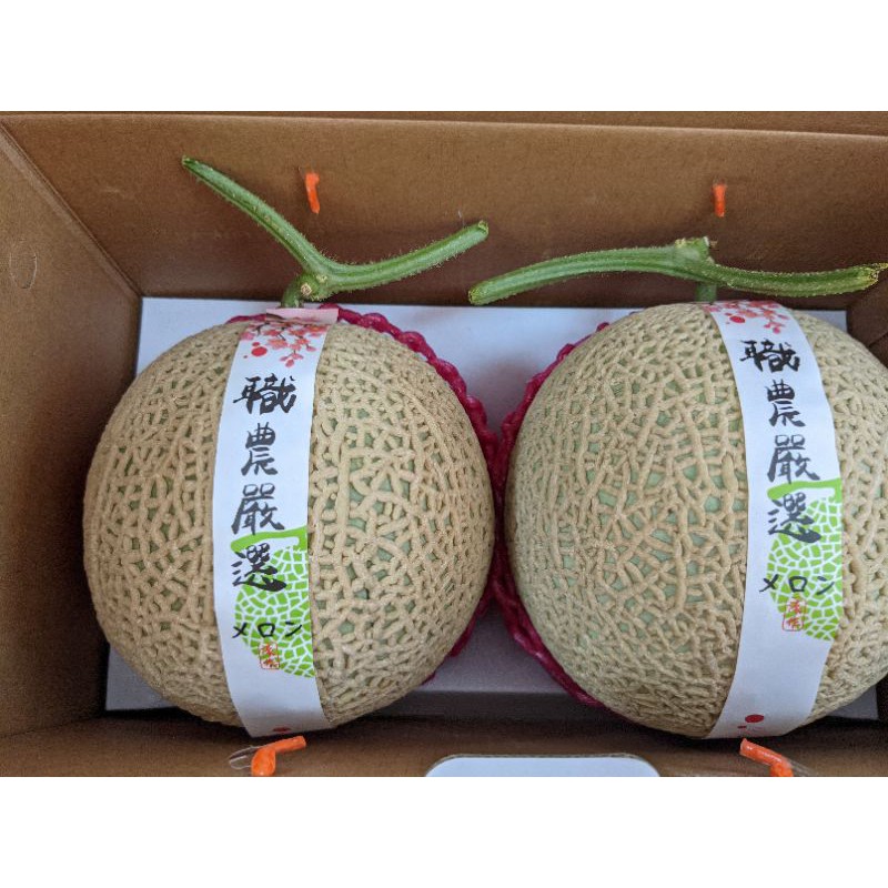 台灣嘉義產溫室阿露斯哈蜜瓜 蝦皮購物