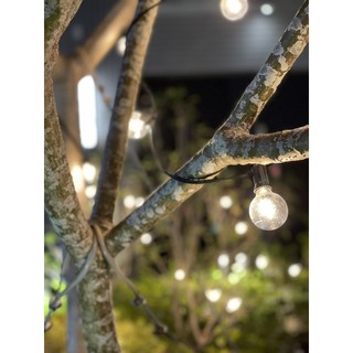 G40 防水LED燈串 愛迪生 串燈 連線串燈 LED燈串 居家 露營 活動 裝飾 美學 露營 復古燈泡