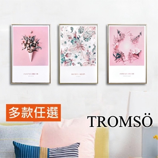 TROMSO北歐生活版畫有框畫/多款任選 -19x29三幅一組/居家佈置簡約民宿客廳臥室書房框畫掛畫壁畫 廠商直送