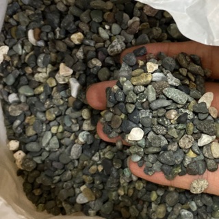 大磯砂 優惠推薦 年10月 蝦皮購物台灣