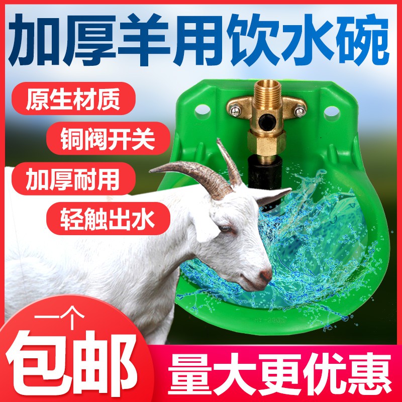 盛大畜牧館 嘟嘟羊用飲水碗羊喝水槽牛羊飲水槽喂水羊自動飲水器養羊用的設備 蝦皮購物