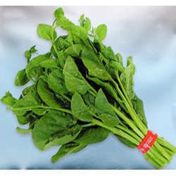 【全館590免運】落葵種子(皇宮菜)~Ceylon Spinach -約50粒