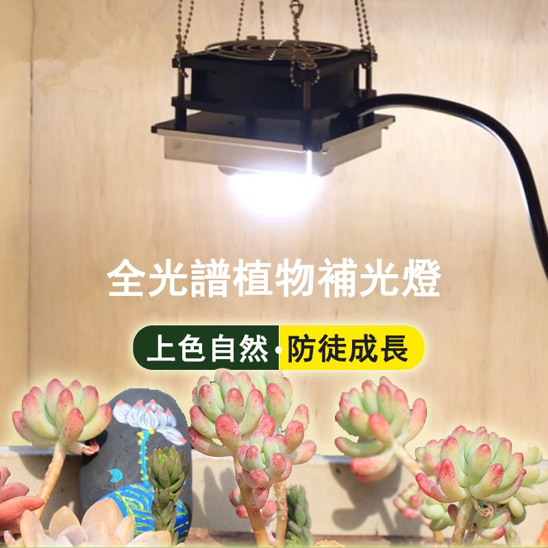 全光譜 太陽光cob植物燈 Led 植物生長燈 溫室大棚蔬菜育苗種植多肉補光燈蔬菜種植 蝦皮購物