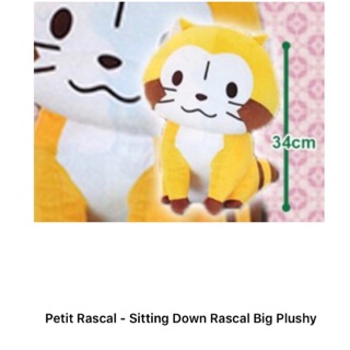 ［現貨］日本 Toreba 💕34cm 坐姿 小浣熊 拉斯卡爾 Rascal💕