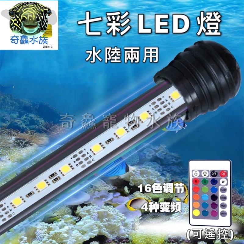 奇鱻水族【LED七彩水中燈】可遙控 水陸兩用 魚缸燈 照明 增艷 防水 美觀