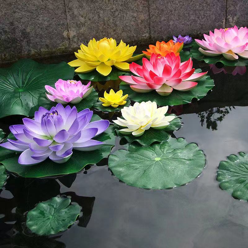 水培睡蓮荷花種子 當年開花  睡蓮 碗蓮 荷花 已開口 種子