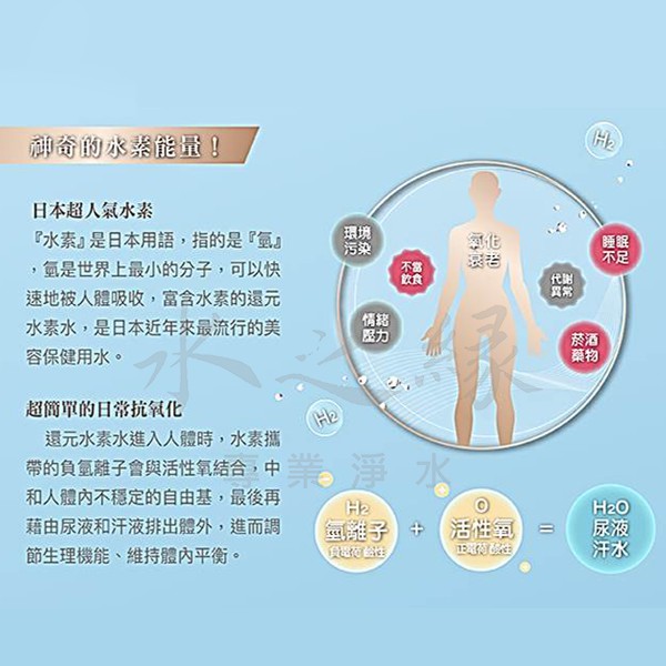 Toyo 桌上型還元水素水生成器tw H1 水之緣 蝦皮購物