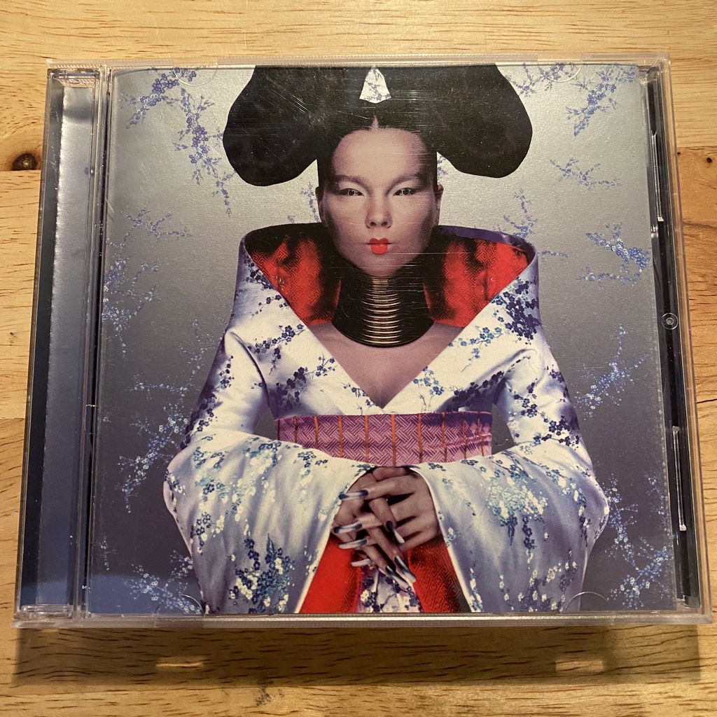 bjork cd Homogenic的價格推薦 - 2025年12月 | 比價比個夠BigGo