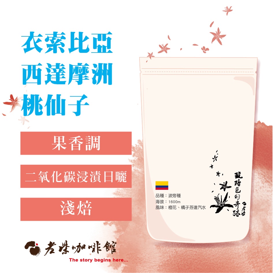 【老柴咖啡館】衣索比亞 西達摩洲 桃仙子 雙重厭氧水洗