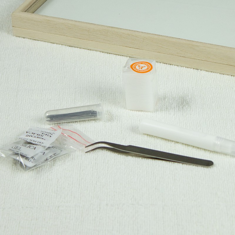 昆蟲標本制作工具套裝實木標本盒鑷子防腐樟腦塊干燥劑昆蟲膠 蝦皮購物