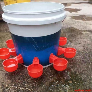 雞用飲水槽自動水碗雞鴨鵝飲水器喂鴿子水碗鳥飲水器鵪鶉養殖設備