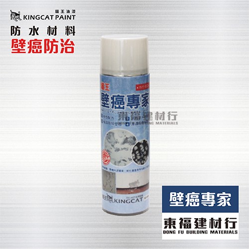 壁癌噴霧 Ptt Dcard討論與高評價網拍商品 21年10月 飛比價格