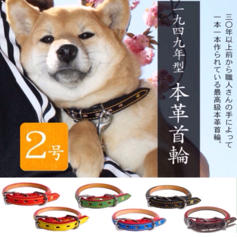 瀨川製作所 真皮拼色撞色頸圈項圈柴犬半丸首輪segawa 蝦皮購物