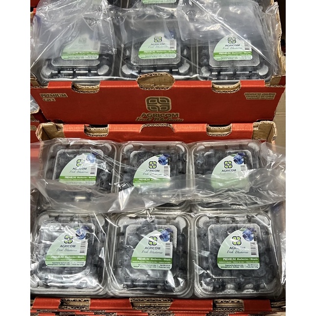 ［優質進口水果］智利藍莓🫐原封箱12PE盒 125g/盒