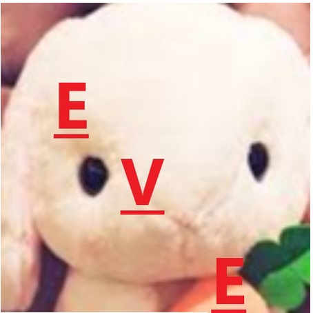 日本代購 白兔 系列 EVE 玩偶大清倉