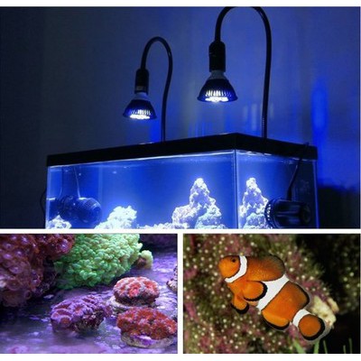 Led水族燈54w Par38 魚缸燈珊瑚照明燈常用水族館跨境貨源 蝦皮購物