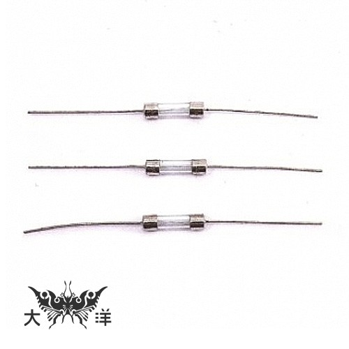 20mm 帶焊腳保險絲 250V (20PCS/包) 0274 大洋國際電子