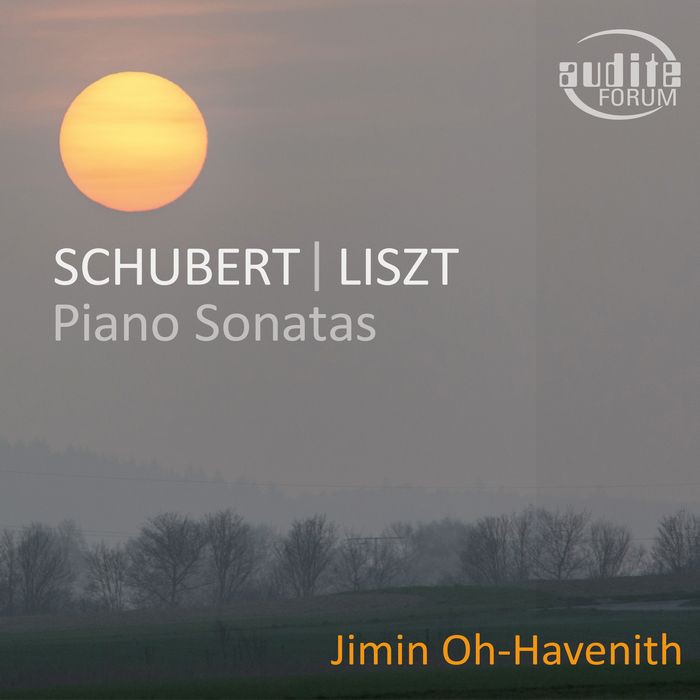 舒伯特 李斯特 鋼琴奏鳴曲 Havenith Schubert Liszt Piano Sonata 20043