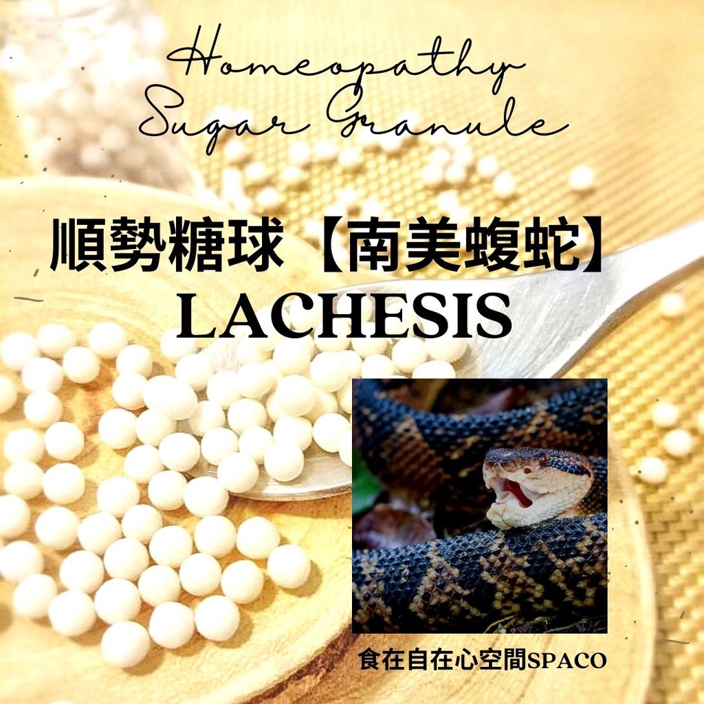 順勢糖球【南美蝮蛇●Lachesis】Homeopathic Granule 9克 食在自在心空間