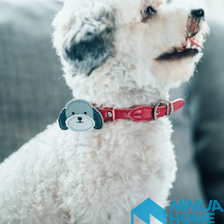 【NiNiJA (犬貓)】tails&me尾巴與我專用配飾 胸背配飾 項圈配飾 牽繩配飾 寵物配件