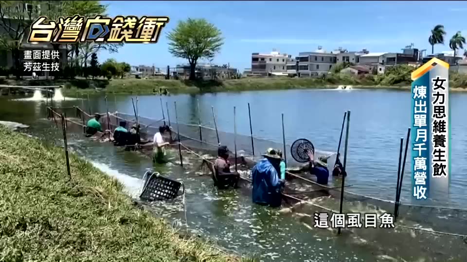 【芳茲】日月養生滴魚精彩盒款8包/盒常溫-雙魚精粹，添加複方深海魚軟骨素及鈣質，讓您維持行動力!