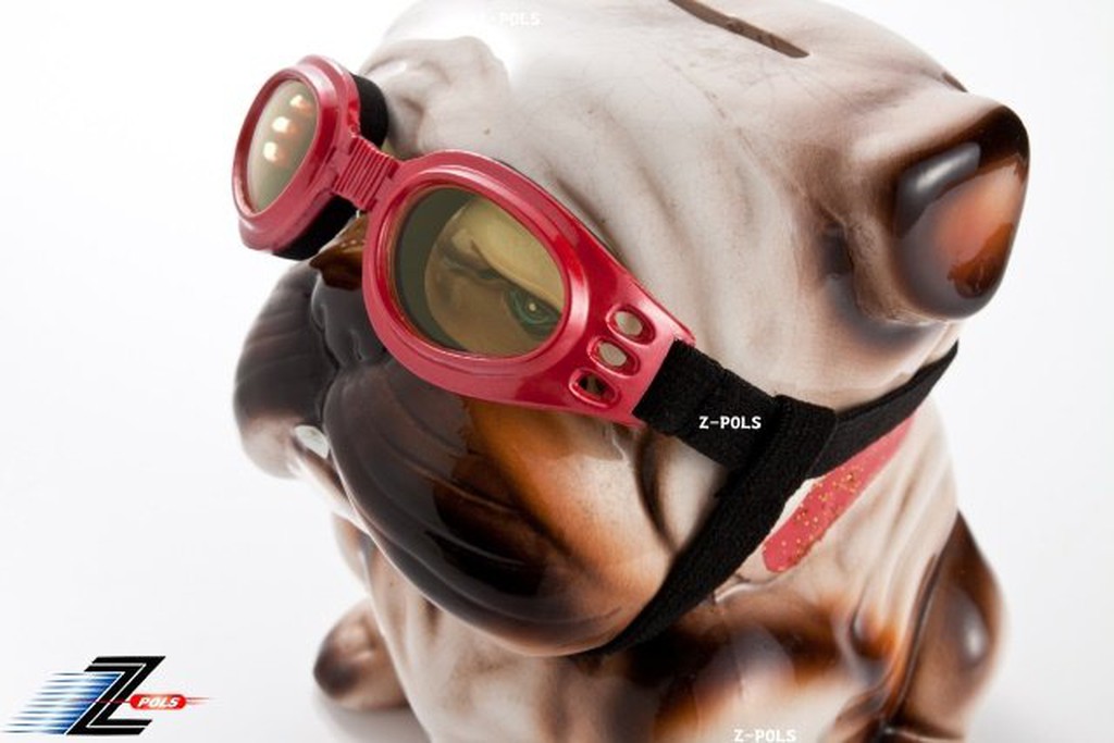 【Z-POLS 小型狗狗專用款】頂級包覆式軟墊超防風、抗紫外線、舒適固定帶多功能運動太陽眼鏡！送專用盒唷！