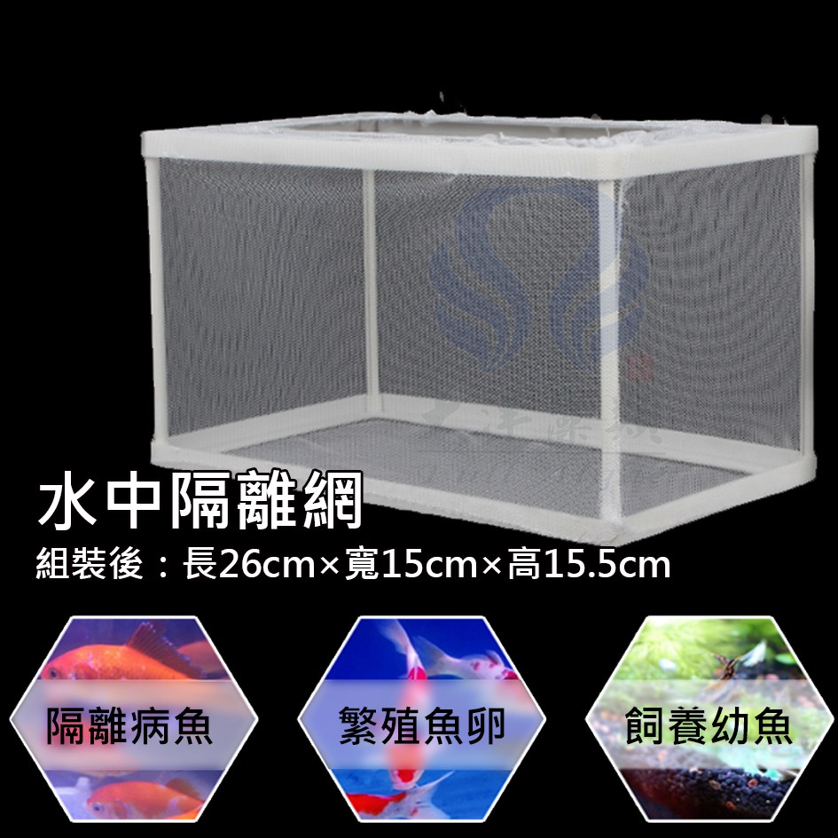 水中隔離網隔離盒隔離箱孵化盒孵化箱繁殖盒繁殖箱 蝦皮購物