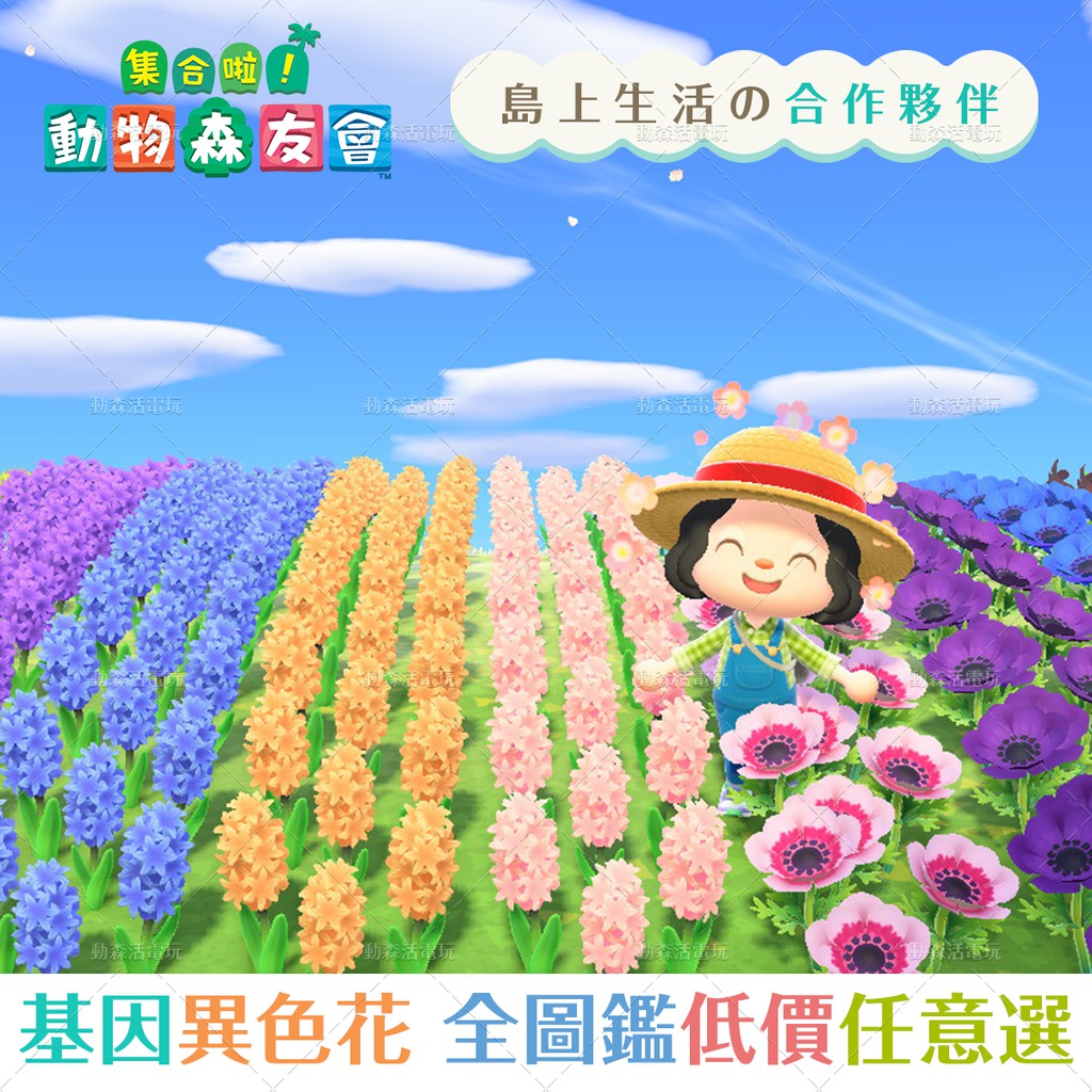 動森活 基因異色花鈴蘭金玫瑰鬱金香三色堇波斯菊銀蓮風信子菊花switch 動物森友會 蝦皮購物