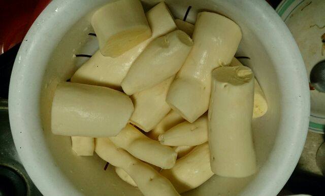 樹薯/黃金薯/Cassava#木薯（當天採收剝皮寄送）#kamote#singkon#不要超過3kg（5斤）