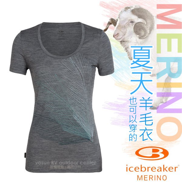 【紐西蘭 Icebreaker】女 款美麗諾羊毛 TECH-LITE 圓領短袖休閒上衣 排汗衣_深灰_IB104604
