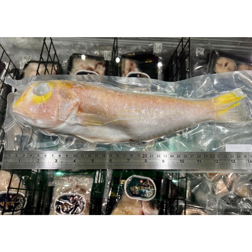 馬頭魚 優惠推薦 22年10月 蝦皮購物台灣