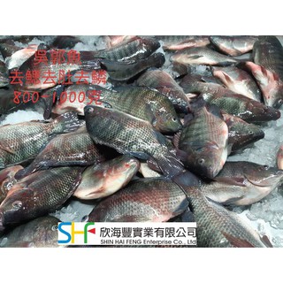 【海鮮7-11】超大吳郭魚-三去 殺清800/1000克 🚩價格很平價CP值高 **每隻180元**