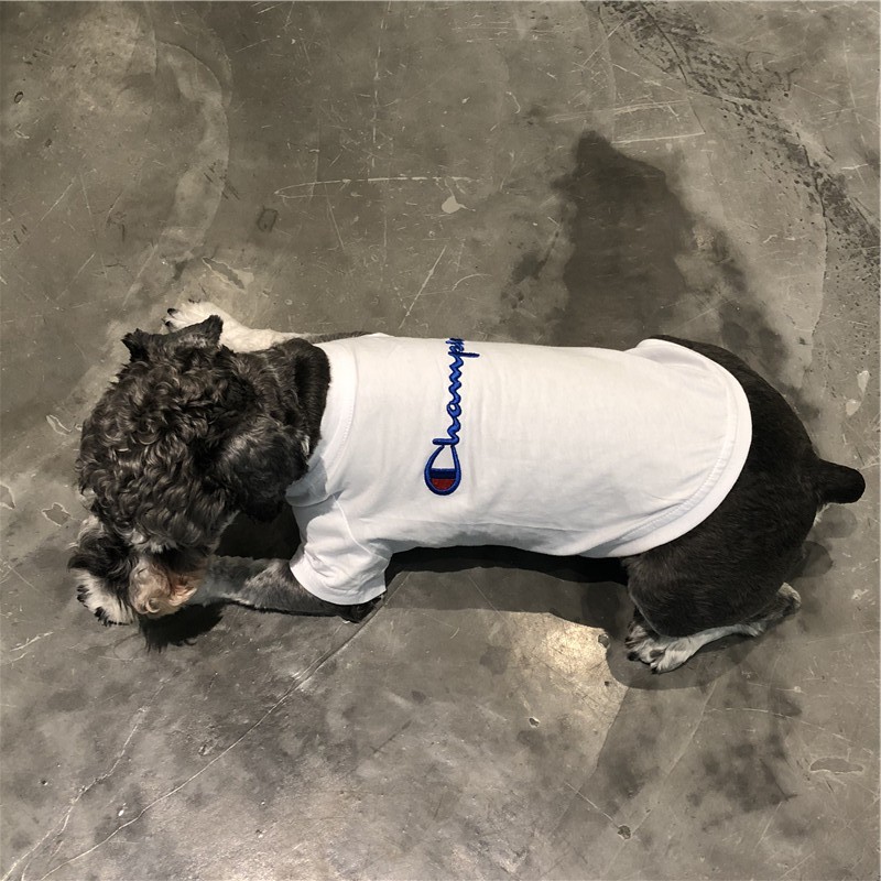 Champion Dog~經典Champion刺繡T恤~時尚簡單單排字樣~超級好看
