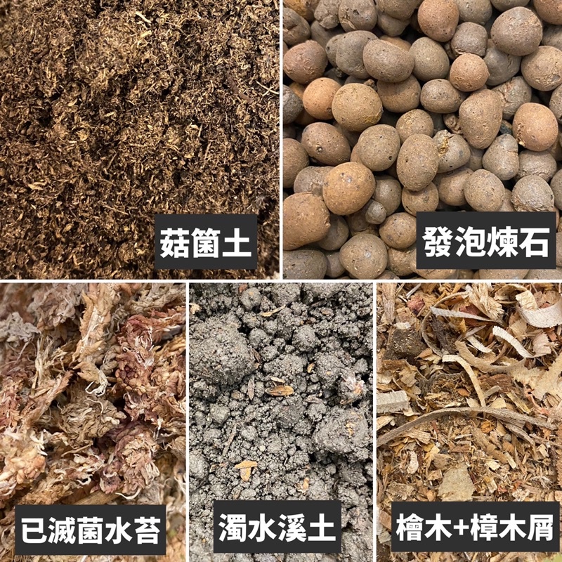 各式介質土觀葉植物土培養土水苔赤玉土發泡煉石赤玉土炭化稻殼珍珠石木屑泥炭土多肉土 蝦皮購物