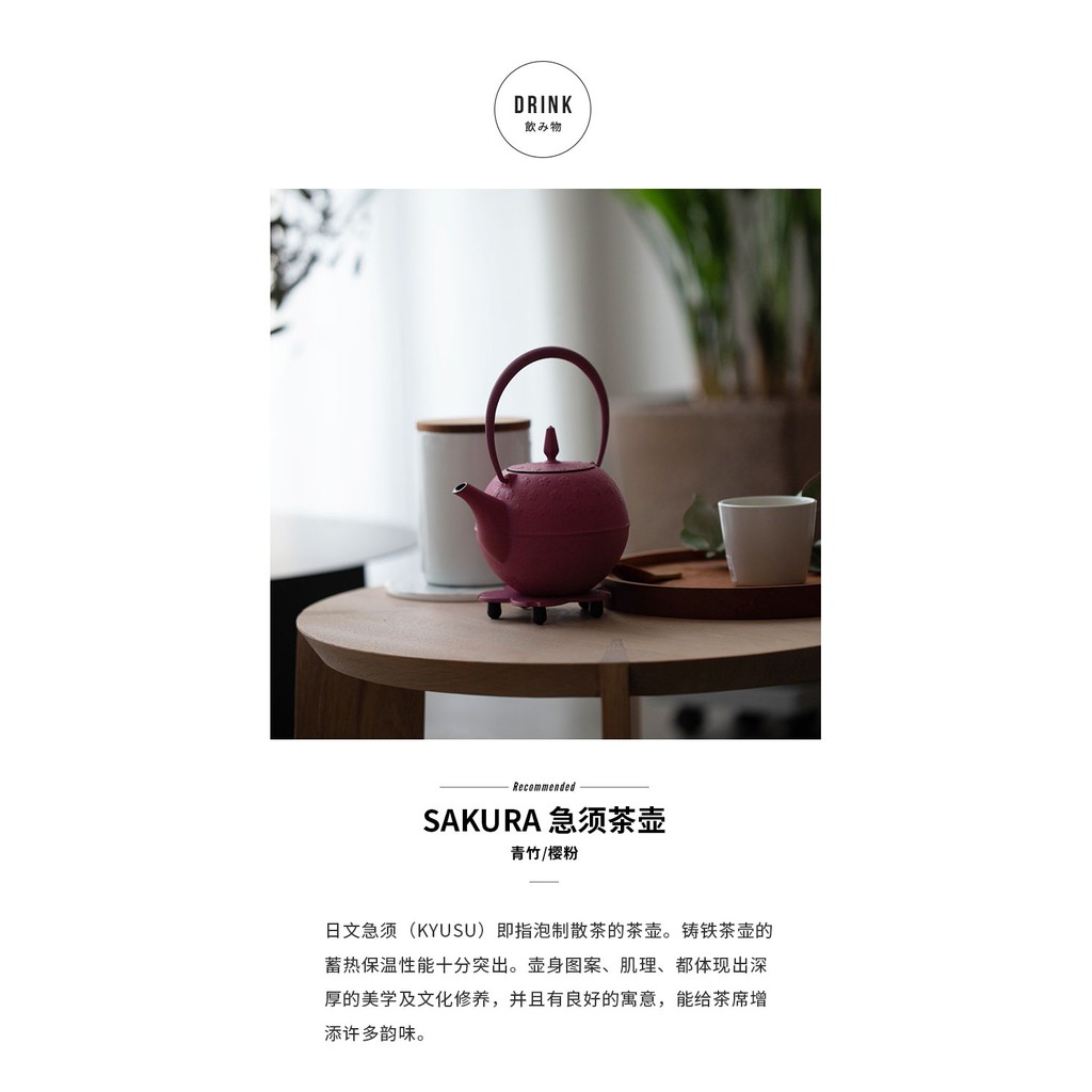 進口咖啡用品 日本池永鐵工純手工鑄鐵茶壺單壺帶茶濾南部鐵器進口茶道急須壺小 蝦皮購物