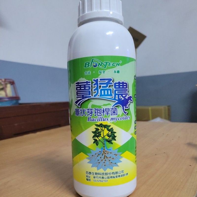 【青楓】蕈猛農 蕈狀芽孢桿菌 1000ml