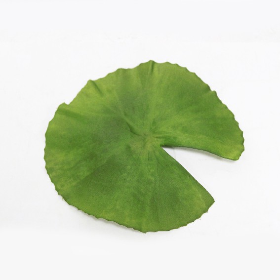 人造植物 小浮水蓮葉 荷葉 花藝設計仿真花假葉片夏天居家生活佈置場景空間陳列 蝦皮購物