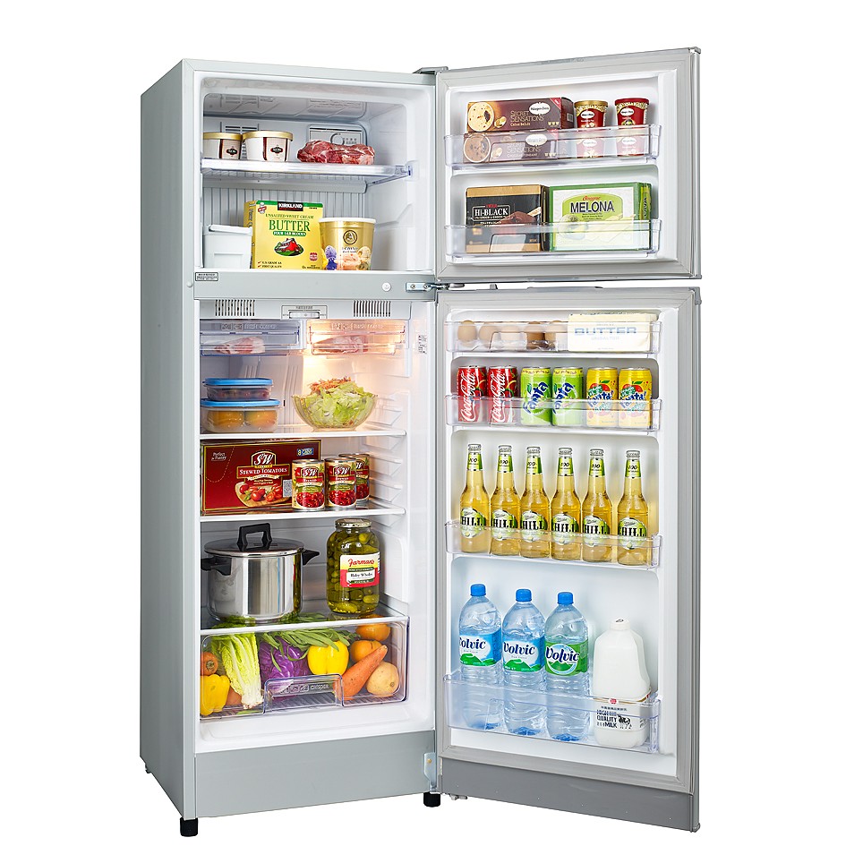 聲寶公司 250公升電冰箱(SR-L25G(S2)