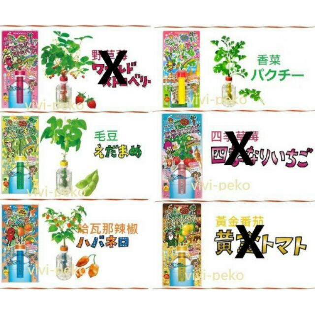 超特價日本petomato 家庭菜園辦公室盆栽水耕栽培羅勒 香菜 蔥 芥末 紫蘇 辣椒 毛豆 蝦皮購物
